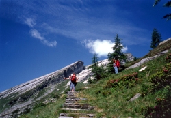 Trekking